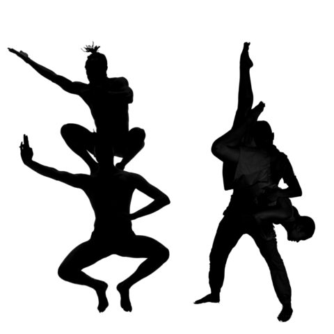 THE DATASET image
